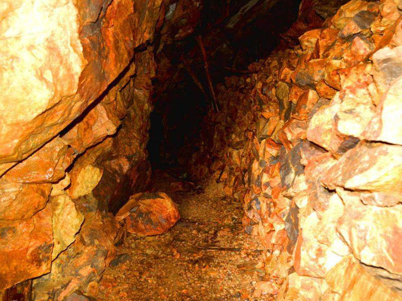 金银矿向日葵视频app下载安卓版机