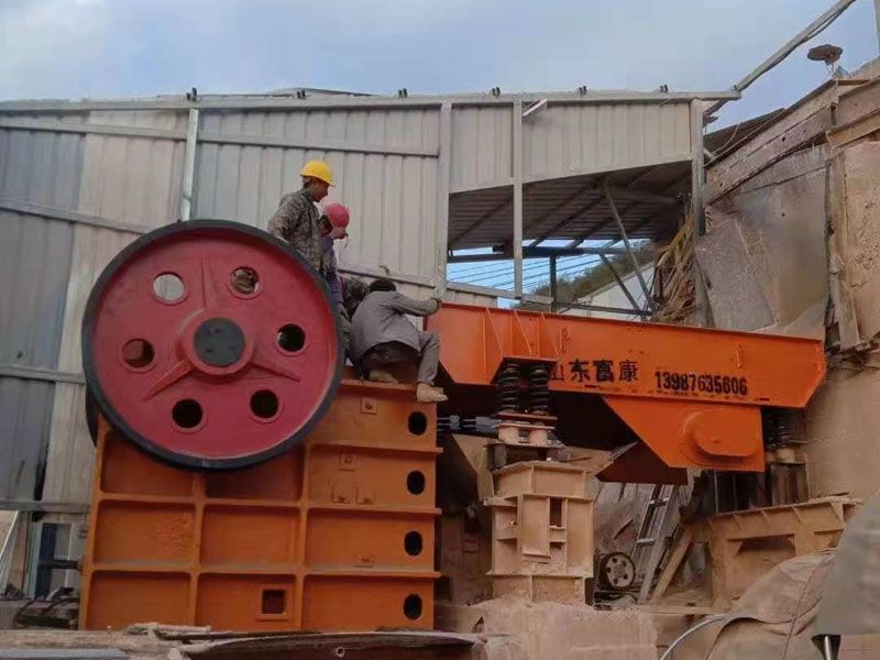 简易颚式向日葵视频app下载安卓版生产线